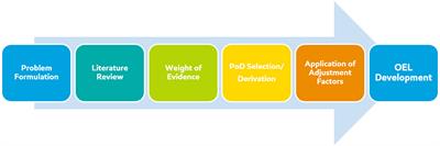 An interdisciplinary framework for derivation of occupational exposure limits